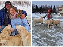 Чиновники Новосибирска прокомментировали установку памятника владельцу лабрадоров