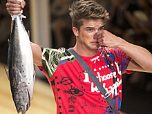 В Россельхознадзоре указали на пробелы в законах