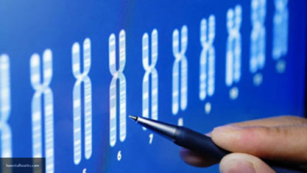 Сибирские ученые получили дорогостоящий аппарат для расшифровки геномов