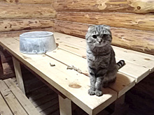 Надымчане пожаловались на высокую стоимость общественной бани