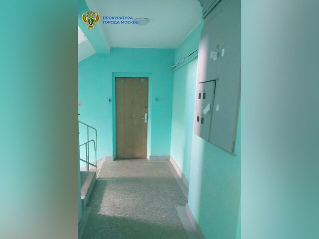 Московский суд запретил собственникам одной из квартир содержать 20 кошек