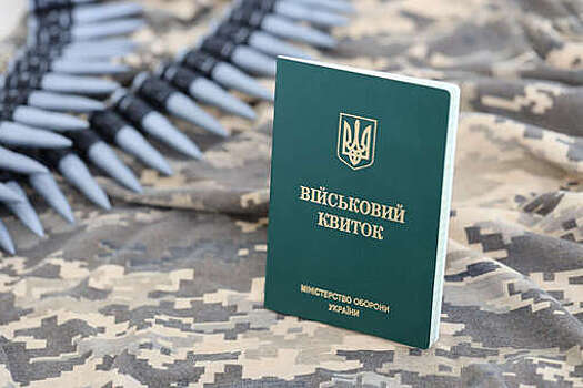 Политолог Гайдай: украинские ТЦК проверяют людей по взяткам, а не реестру