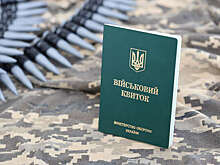 Политолог Гайдай: украинские ТЦК проверяют людей по взяткам, а не реестру