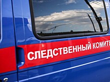 Силовики задушили задержанного в Подмосковье