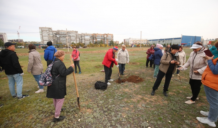 В городе Волжском экоактивисты высадили 300 саженцев акаций