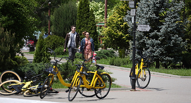 Турпоток на курорты Кубани вырос на 5%