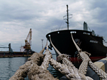 Пока вы не уснули: условие России по зерновой сделке и последствия санкций против РФ для Европы