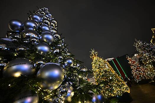 Россиян предупредили о риске сесть в тюрьму за новогоднюю елку