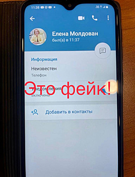 Неизвестные создали фейковую страницу главы Муравленко Елены Молдован в Telegram