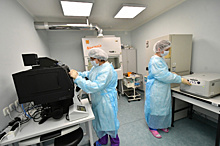 Органы из лаборатории: самарские ученые будут "печатать" хрящи и кожу для пациентов