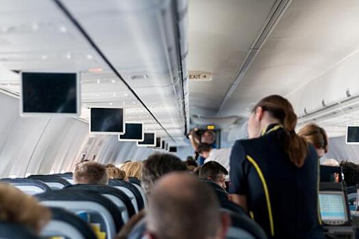 Пассажирка рейса Анапа – Москва покусала стюардессу