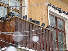 "Хрущевкам" приказано долго жить