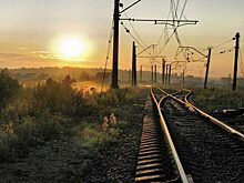 5 видов бесплатных услуг от железной дороги