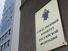 Следствие ходатайствует об аресте повредившего картину Репина мужчины