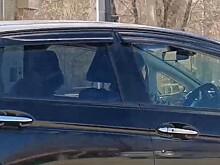 В Благовещенске сняли на видео автоледи, которая подвергла ребёнка опасности