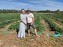 Благодаря господдержке калужские фермеры снижают риски и открывают новые направления в бизнесе