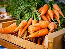 Диетолог перечислила доступные овощи для укрепления иммунитета