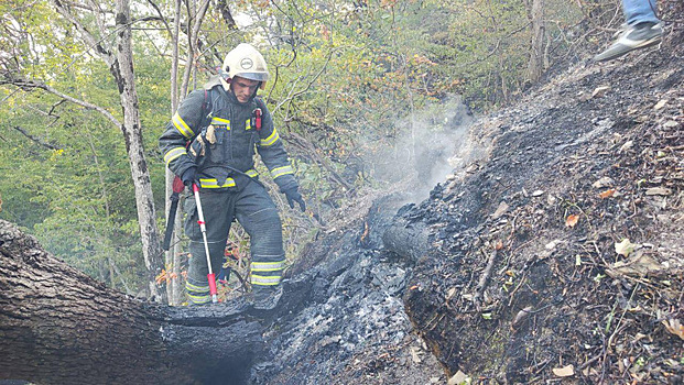 Пожар в Краснодарском крае распространился на 118 гектаров