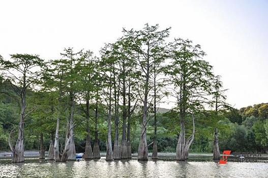 Что посетить в Краснодарском крае кроме моря