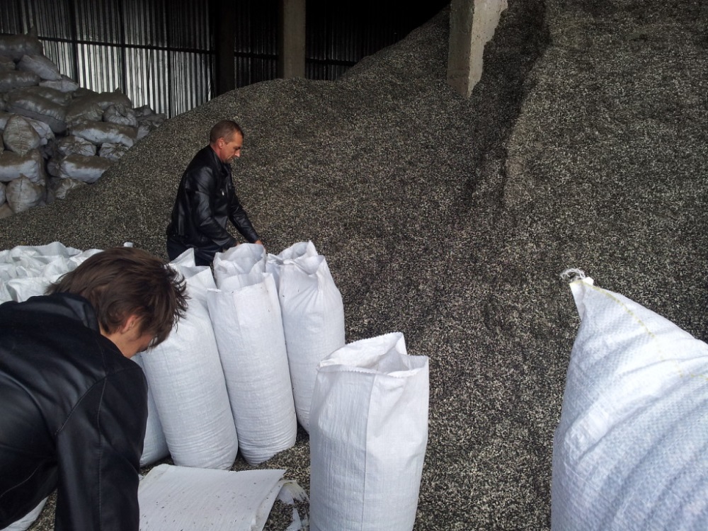 На конец апреля в России сильнее всего снизились запасы масличных