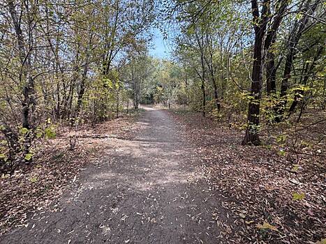 Полиция разыскивает водителя, сбившего 12-летнюю девочку в Оренбурге