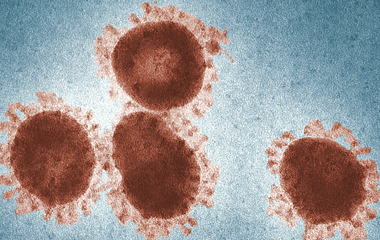 Нефть дешевеет на фоне новостей об африканском штамме коронавируса