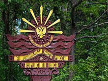 В национальном парке «Куршская коса» к году экологии издали книгу