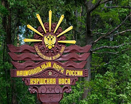 Туристические маршруты Калининградской области попадут в брендовый список
