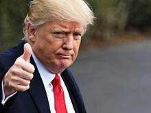 Трамп заявил о готовности работать над восстановлением мира на Украине