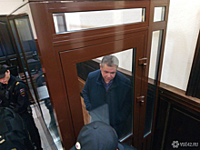 Обвиняемый по делу "Зимней вишни" экс-глава МЧС попытался выйти на свободу