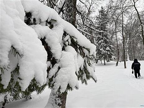 Синоптики прогнозируют аномальную погоду на февраль в Самарской области