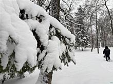 Синоптики прогнозируют аномальную погоду на февраль в Самарской области