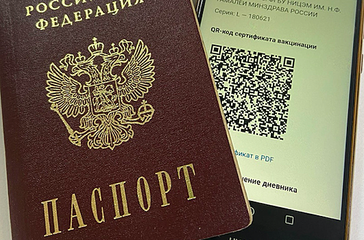 Авиакомпании начнут проверять QR-коды россиян перед посадкой в самолёт
