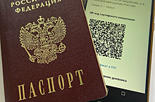 Авиакомпании начнут проверять QR-коды россиян перед посадкой в самолёт