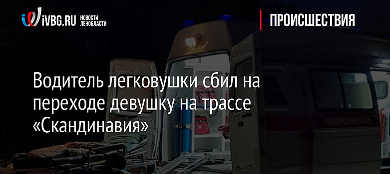 Водитель легковушки сбил на переходе девушку на трассе «Скандинавия»