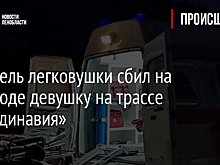 Водитель легковушки сбил на переходе девушку на трассе «Скандинавия»