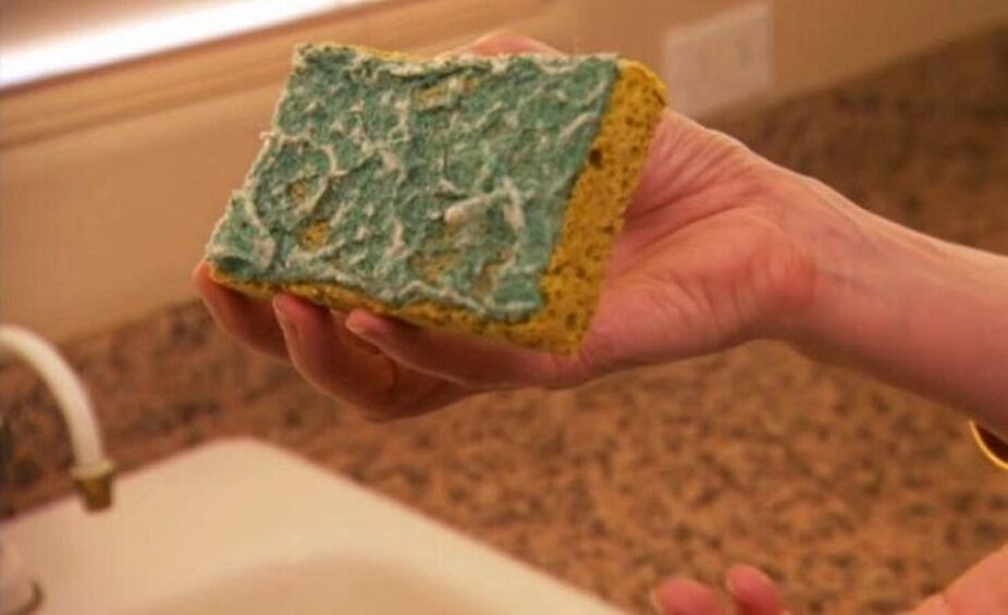 Эта кухонная губка еще послужит хозяйке не один месяц.