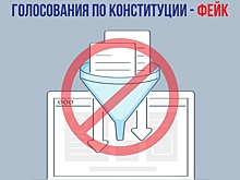 Костырко: Информация о базе данных голосования по Конституции - фейк