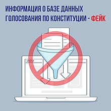 Костырко: Информация о базе данных голосования по Конституции - фейк