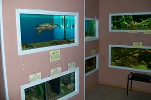 Станция натуралистов, как цыганский табор. Почему юннаты Югры - без приюта