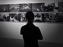 Красный Крест выступит партнером фотоконкурса им. Стенина