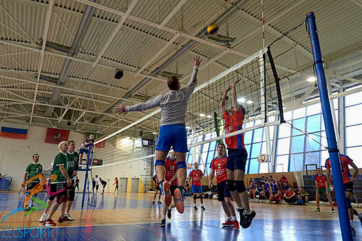 Подмосковные волейболисты лидировали на турнире в Зеленограде