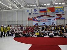 В Нововоронеже завершилось открытое первенство по хоккею с шайбой