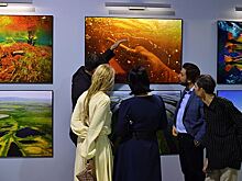 В Москве открылся фестиваль дикой природы "Золотая Черепаха"