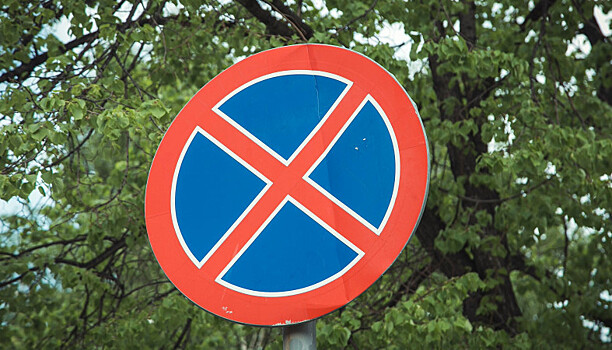 Знаки «Остановка запрещена» появятся на двух улицах Петрозаводска