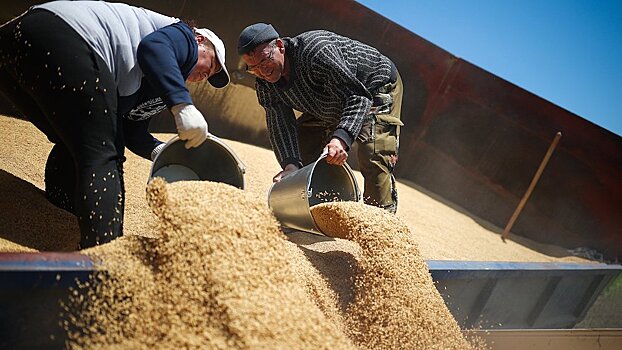 Поставки российского зерна в Турцию могут начаться в ближайшее время