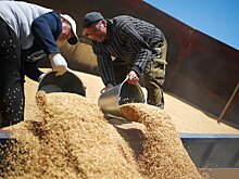 Поставки российского зерна в Турцию могут начаться в ближайшее время