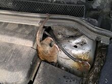 Опасности подстерегающие автовладельца на даче