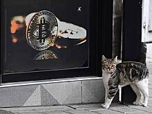 Оценена возможность Запада отрезать россиян от рынка криптовалют