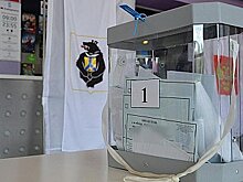 Избирательные кампании в Хабаровском крае выходят на финишную прямую без эксцессов